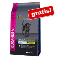 Bild von [Zooplus] 3 kg Eukanuba Large Breed mit DentaDefense Kroketten GRATIS!