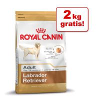Bild von [Zooplus] 12 kg + 2 kg gratis! 14 kg Royal Canin Breed ab 42,99€