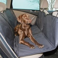 Bild von [tiierisch.de] Rückbank Hundedecke für das Auto für 29.99€ inkl. Versand statt 47,99€