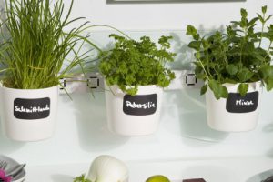 Bild von Kräuterleiter Vega weiß