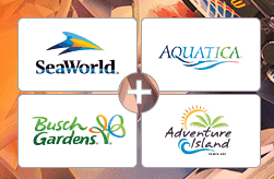Bild von Weekend Flash Sale – SeaWorld Parks – Erwachsene zum Kinderpreis