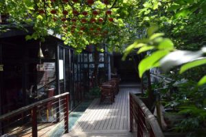 Bild von Exklusive Unterkünfte in Shanghai ab 6€