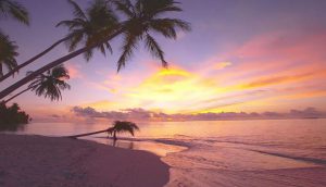 Produktbild von LOS GEHTS: Malediven 5 Nächte im 4*Resort bereits ab 933 EUR!