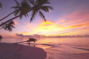 Bild von LOS GEHTS: Malediven 5 Nächte im 4*Resort bereits ab 933 EUR!