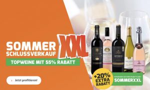 Bild von Weinvorteil Sale mit bis zu 55% Rabatt + 20% Gutschein – Promesse – Cabernet Sauvignon – Pays d’Oc IGP nur 4€