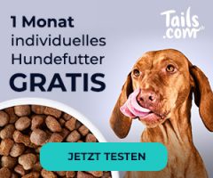 Bild von Do’s and Don‘ts bei Online-Hundefutter-Bestellungen bei Tails.com
