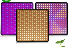 Bild von 1000W LED Wachsen Licht für Innen zum Pflanzenwachstum