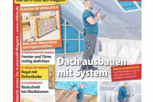 Bild von 6 Monate selbst ist der Mann für 1 Euro lesen