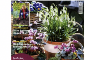 Bild von 6 Monate GartenFlora für 1 Euro lesen