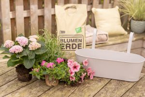 Bild von DIY Balkonkasten Pink Joy