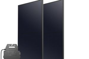 Bild von Anker SOLIX RS40P 600W/800W Balkonkraftwerk mit Speicher-Premium mit Halterungen