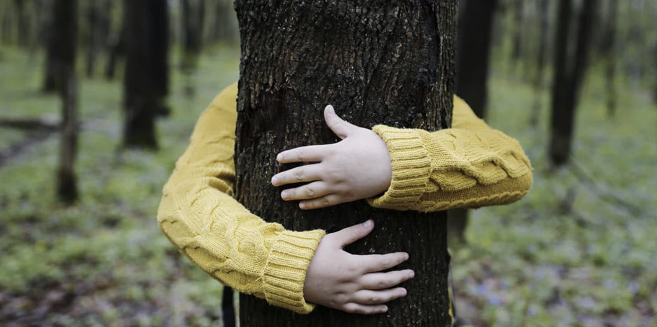 Bild von Einfach klimafreundlich für alle – ENTEGA macht’s möglich