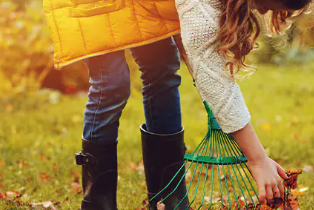 Bild von Den Garten rechtzeitig winterfest machen