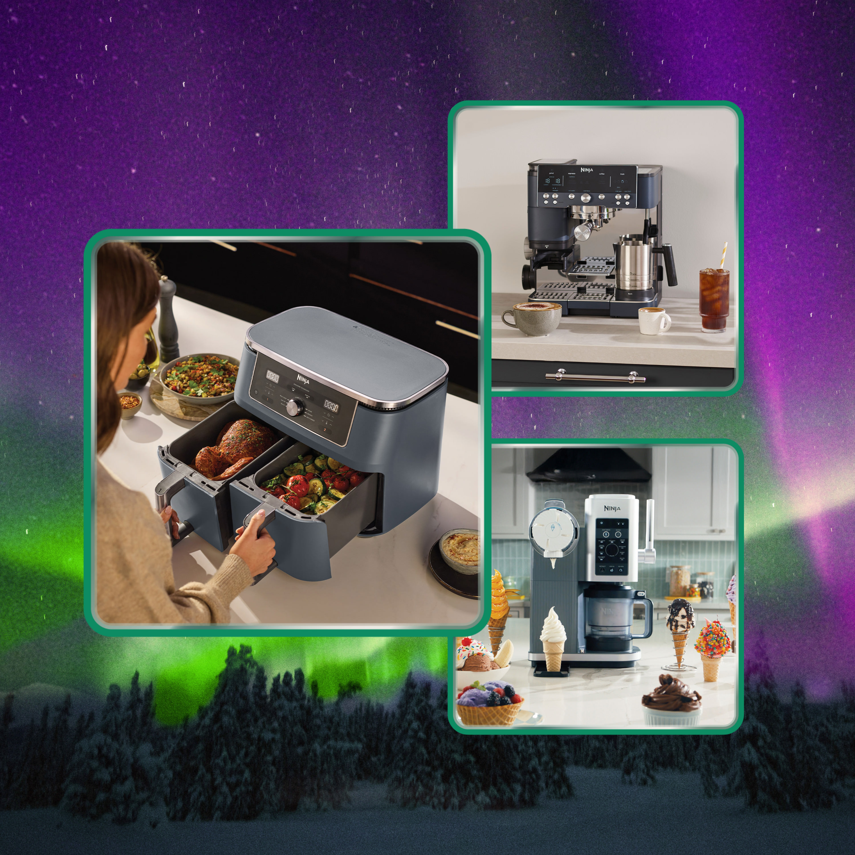 Bild von Ninja & Shark – Zwei Welten. Unzählige Deals: Jetzt bis zu 200 € Black Friday Rabatt sichern!