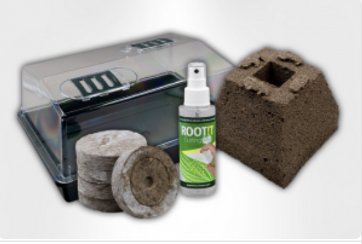 Bild von Grow-Shop24: Growboxen, LED-Lampen und Zubehör für den Indoor-Anbau
